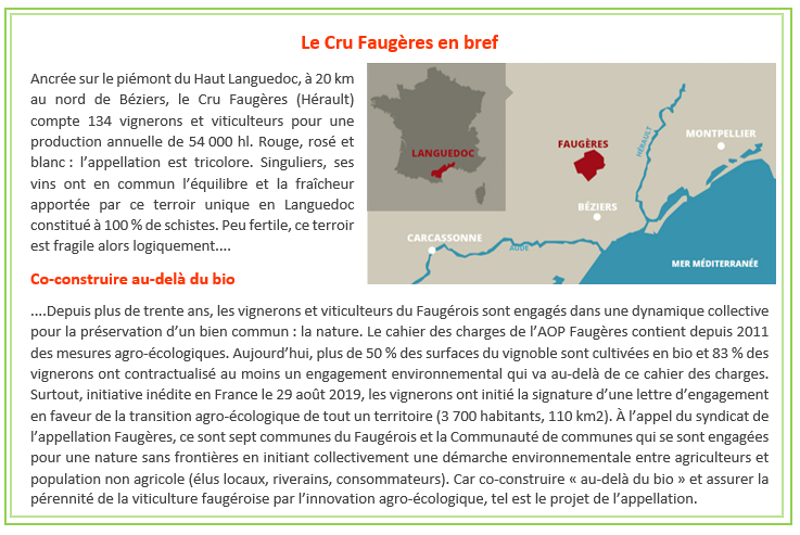 Cru faugeres en bref